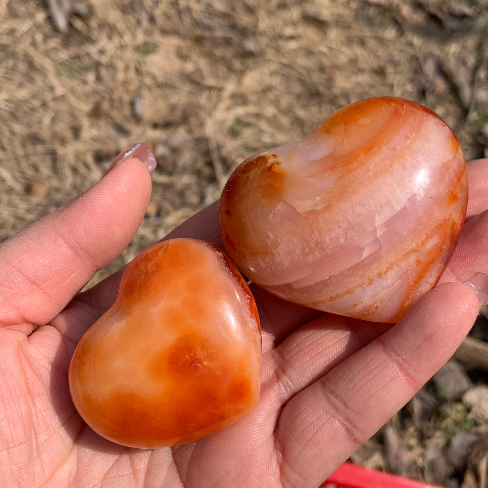 1LB natural carnelian heart quartz Mineral specimen crystal healing 7-8pcs