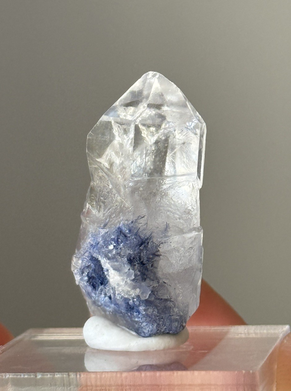 Blue Dumortierite Included Quartz Crystal Bahia Brazil 6.2g • 3cm • ID97