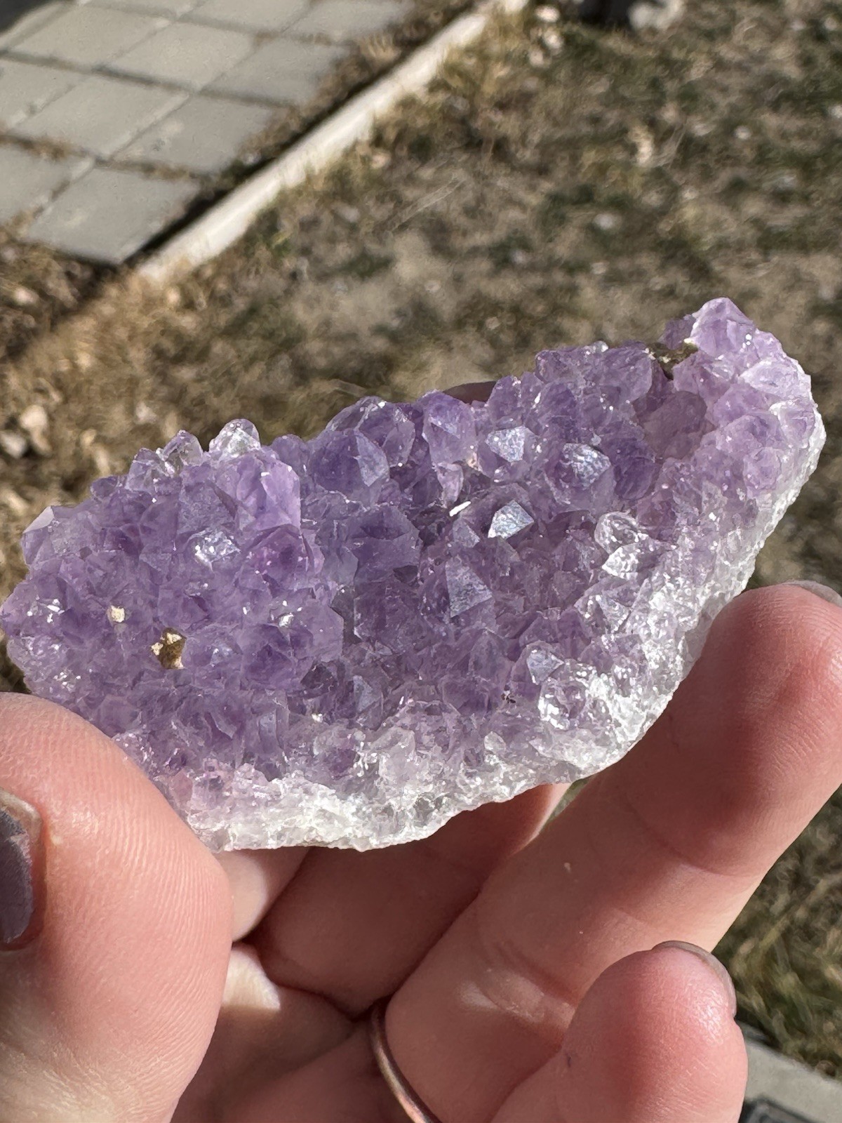 ✨Amazing African Amethyst Cluster