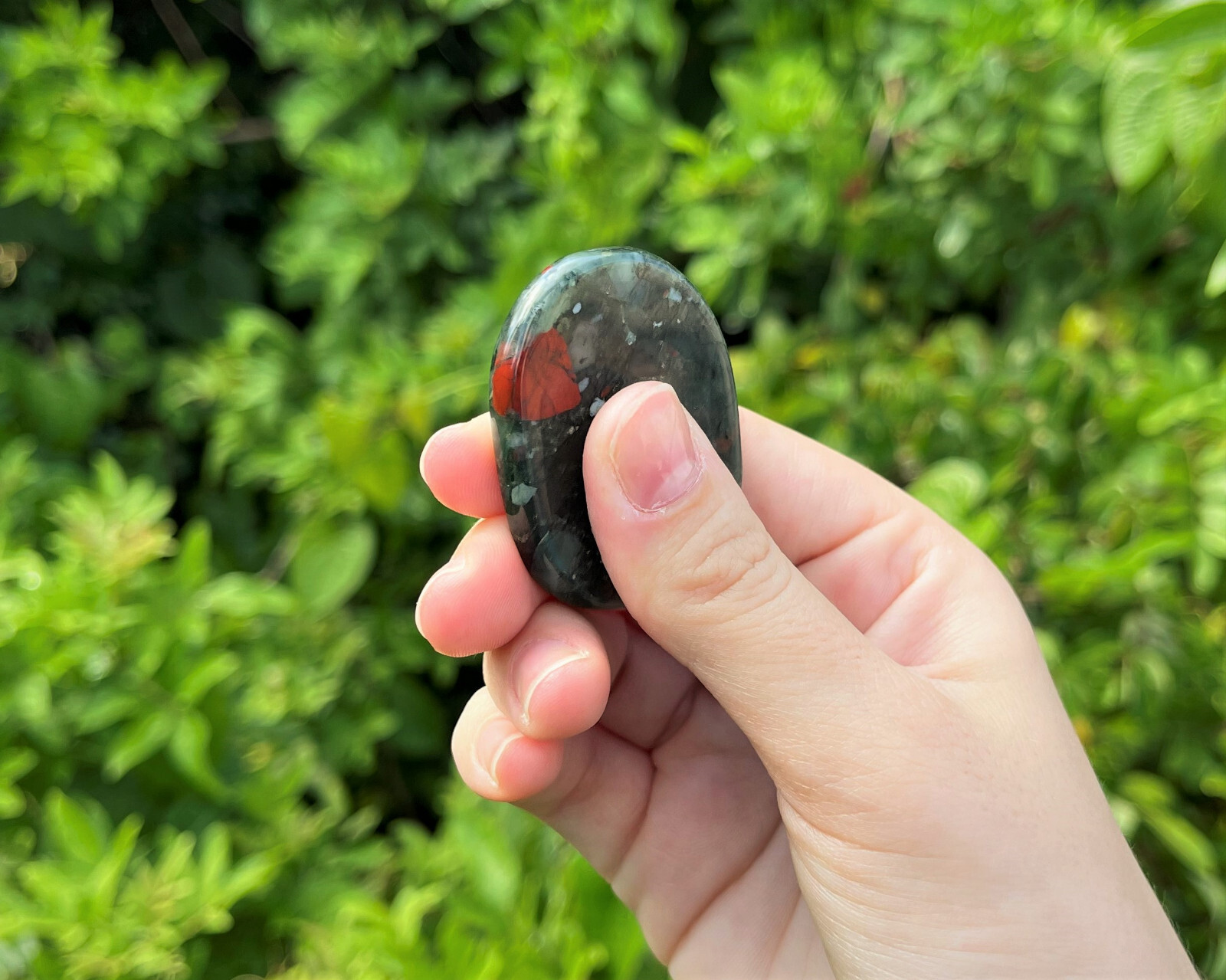 Bloodstone Pocket Palm Stone MEDIUM (Smooth Polished Bloodstone Worry Stone)