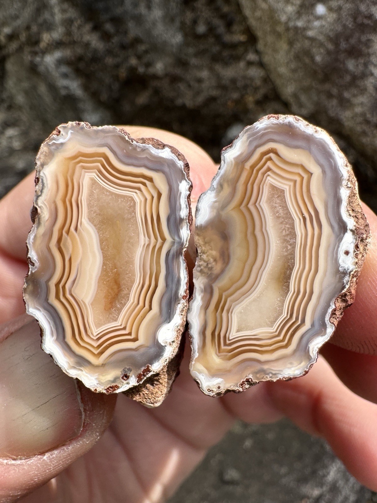 0.6oz Alimajo Malawi Agate Polished Pair From Africa