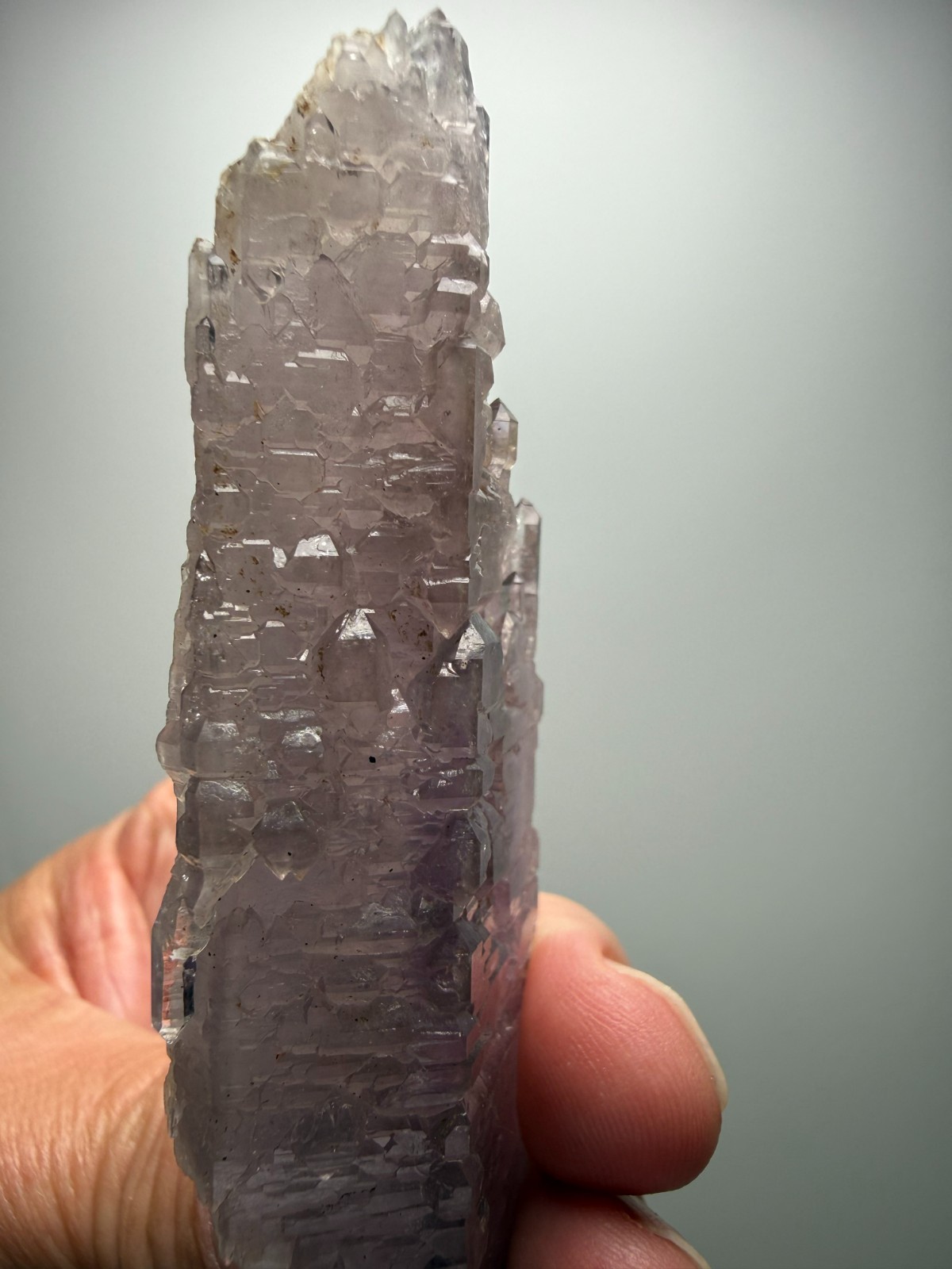 AMAZING Jacare Amethyst- Buridan’s Mule Claim, New Mexico- RARE PIECE!