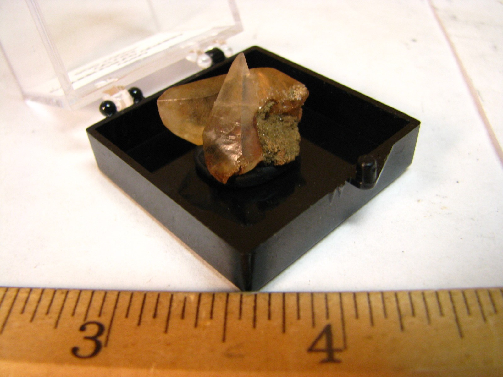 GOLDEN DOGTOOTH CALCITE CRYSTALS THUMBNAIL IN CASE MARBLEHEAD QUARRY OHIO #037