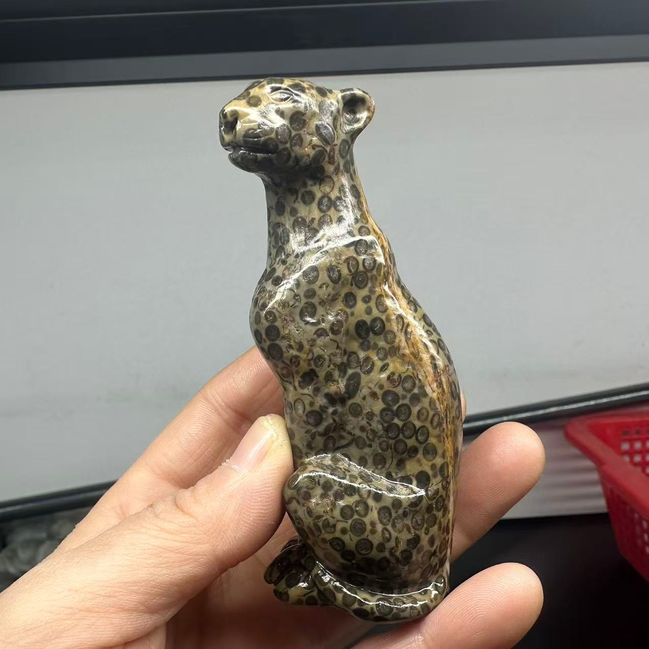 1pc Natural Money Leopard Stone Quartz Carved Leopard Skull Crystal Reiki Decor