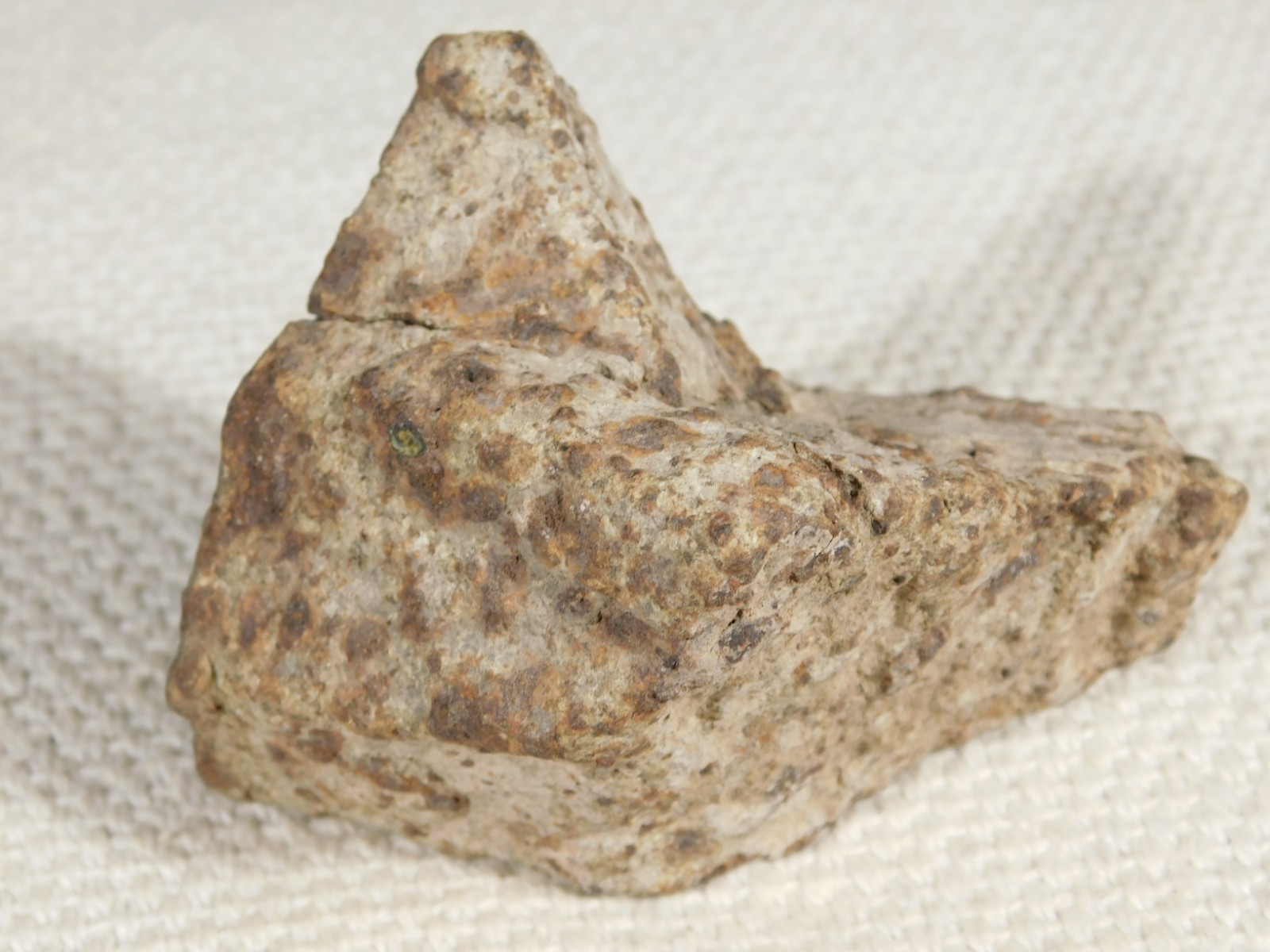 Larger! Classified NWA 8245 METEORITE 100% Natural! Erfoud, Morocco 223gr
