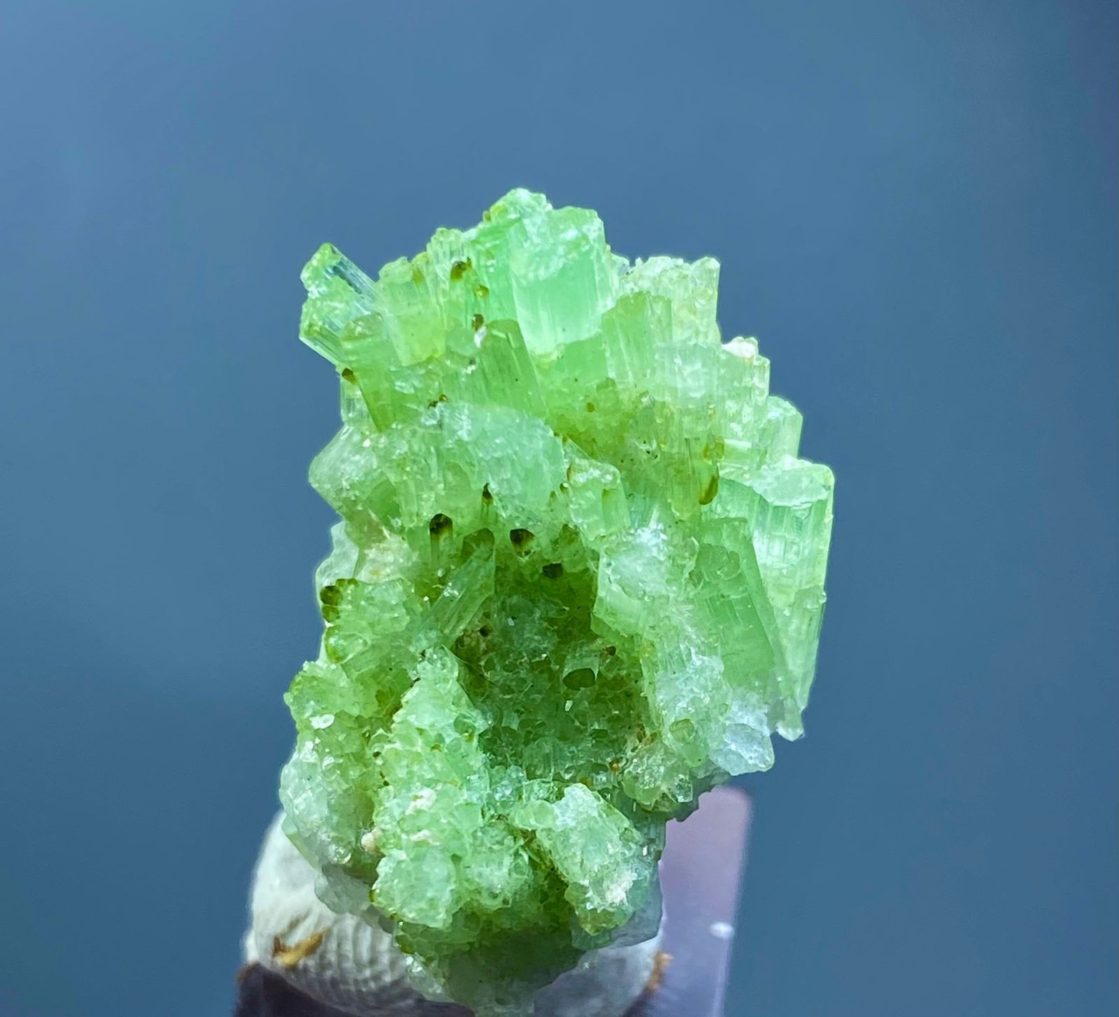 Beautiful Natural Tourmaline Bunch Crystal Specimen Afghanistan 61 Carats