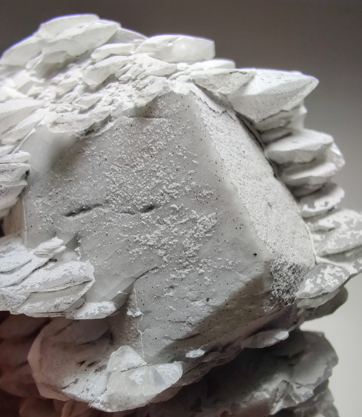 Poker-chip Calcite, excellent specimen, fluorescent. Charcas, Mexico. 217 grams.