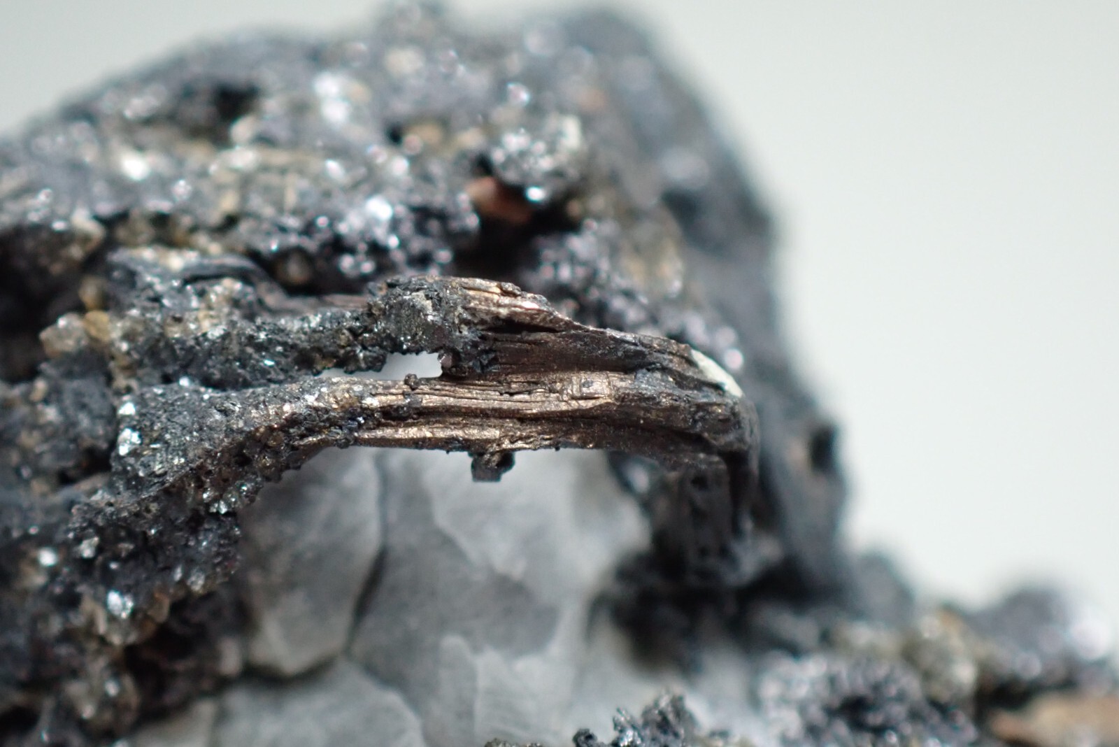 SILVER * WIRES ON CALCITE + GALENA * RARE LOCALITY !!! Trebsko, CZECH REPUBLIC