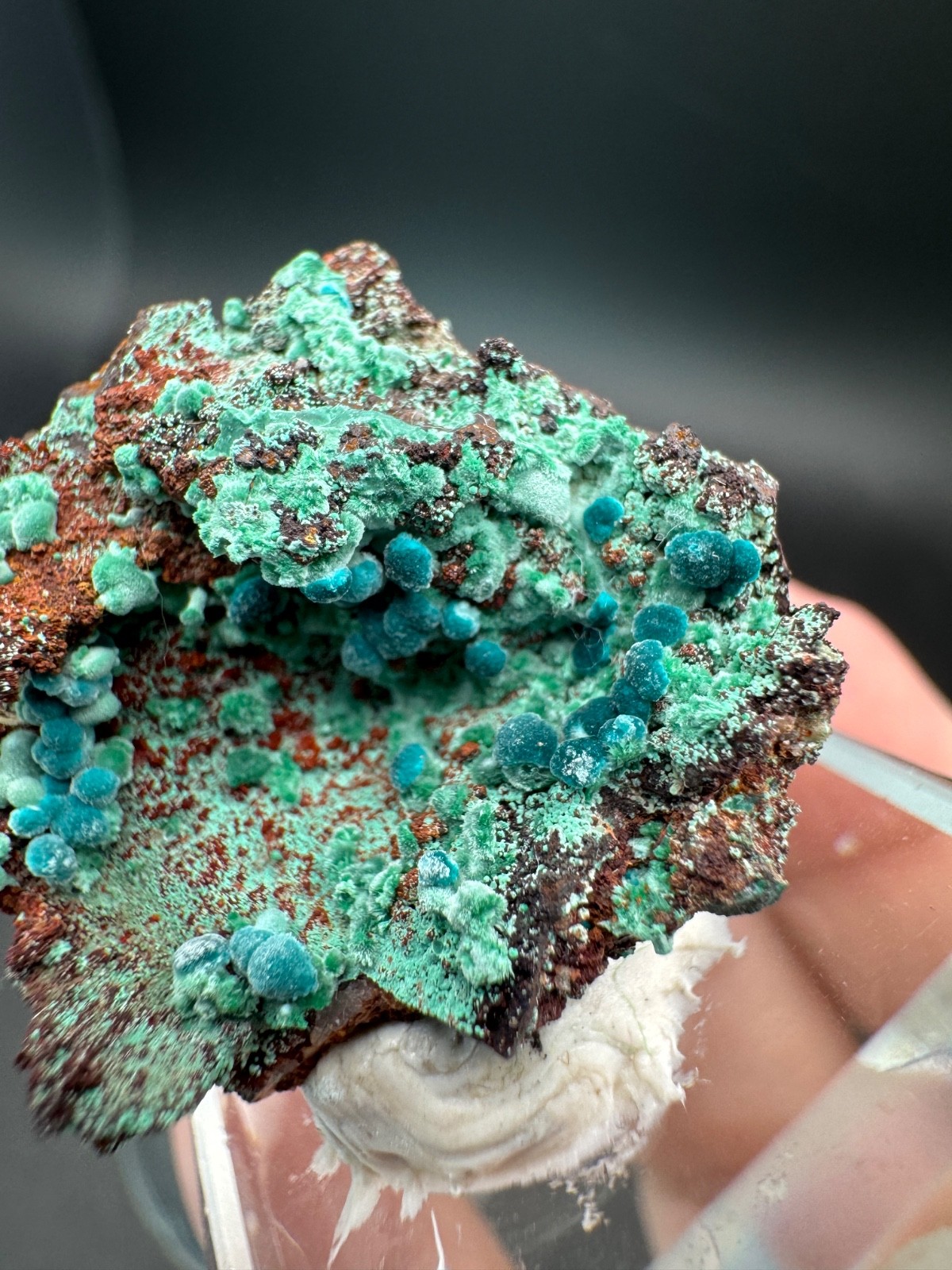6757 Rosasite and Malachite on Matrix in Perky 8g Ojuela Mine, MX