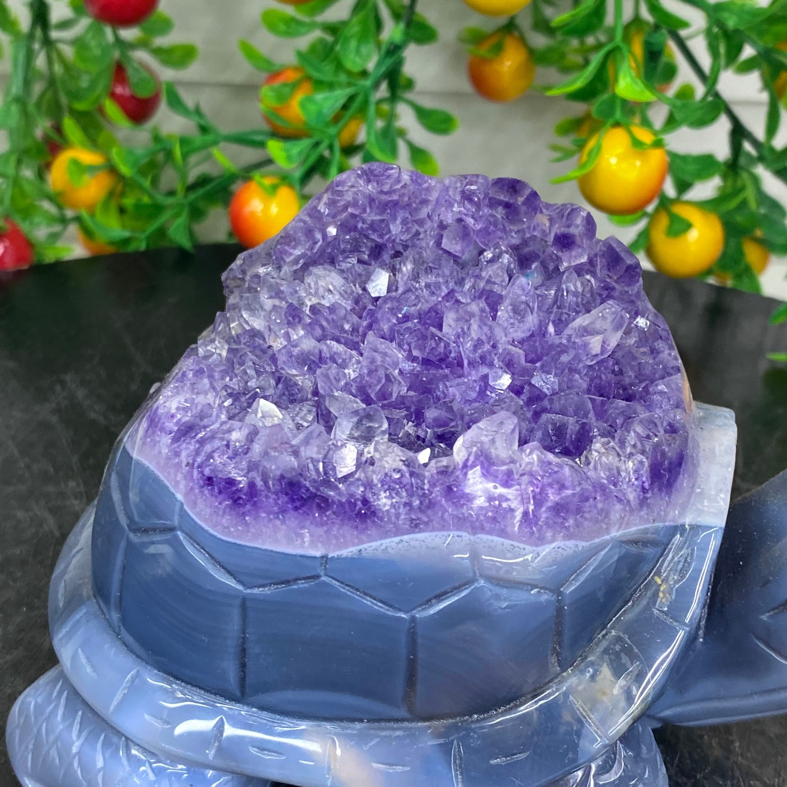 2.51LB Natural amethyst agate turtle Crystal turtle carving healing Home decora