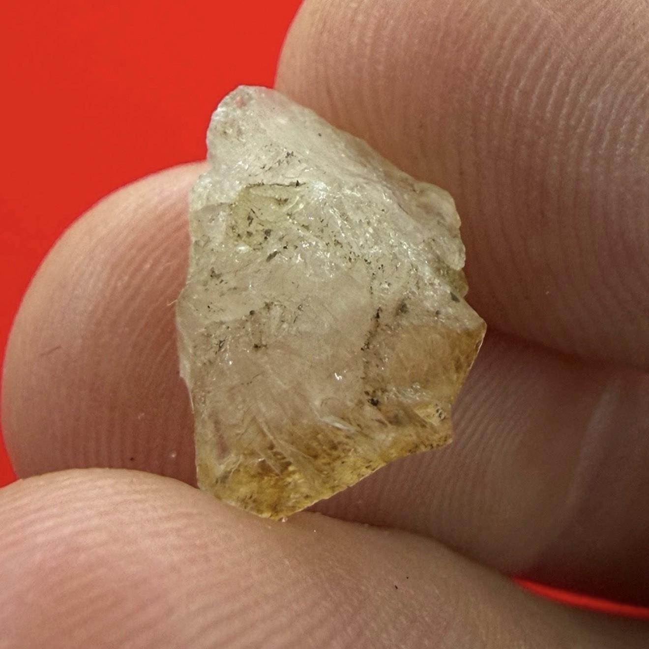 Golden Brazilian Phenacite Crystal: Authentic Phenacite Crystal, 1.05g/5.25ct