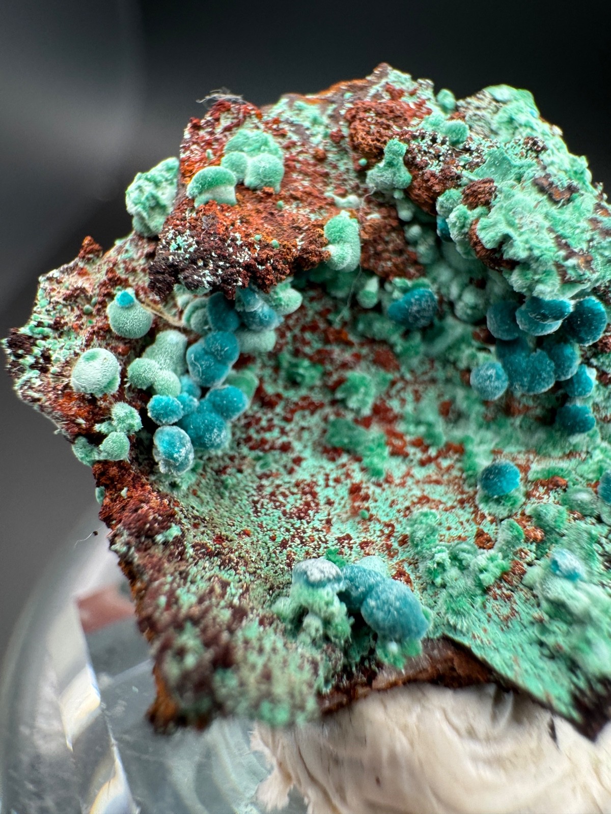 6757 Rosasite and Malachite on Matrix in Perky 8g Ojuela Mine, MX