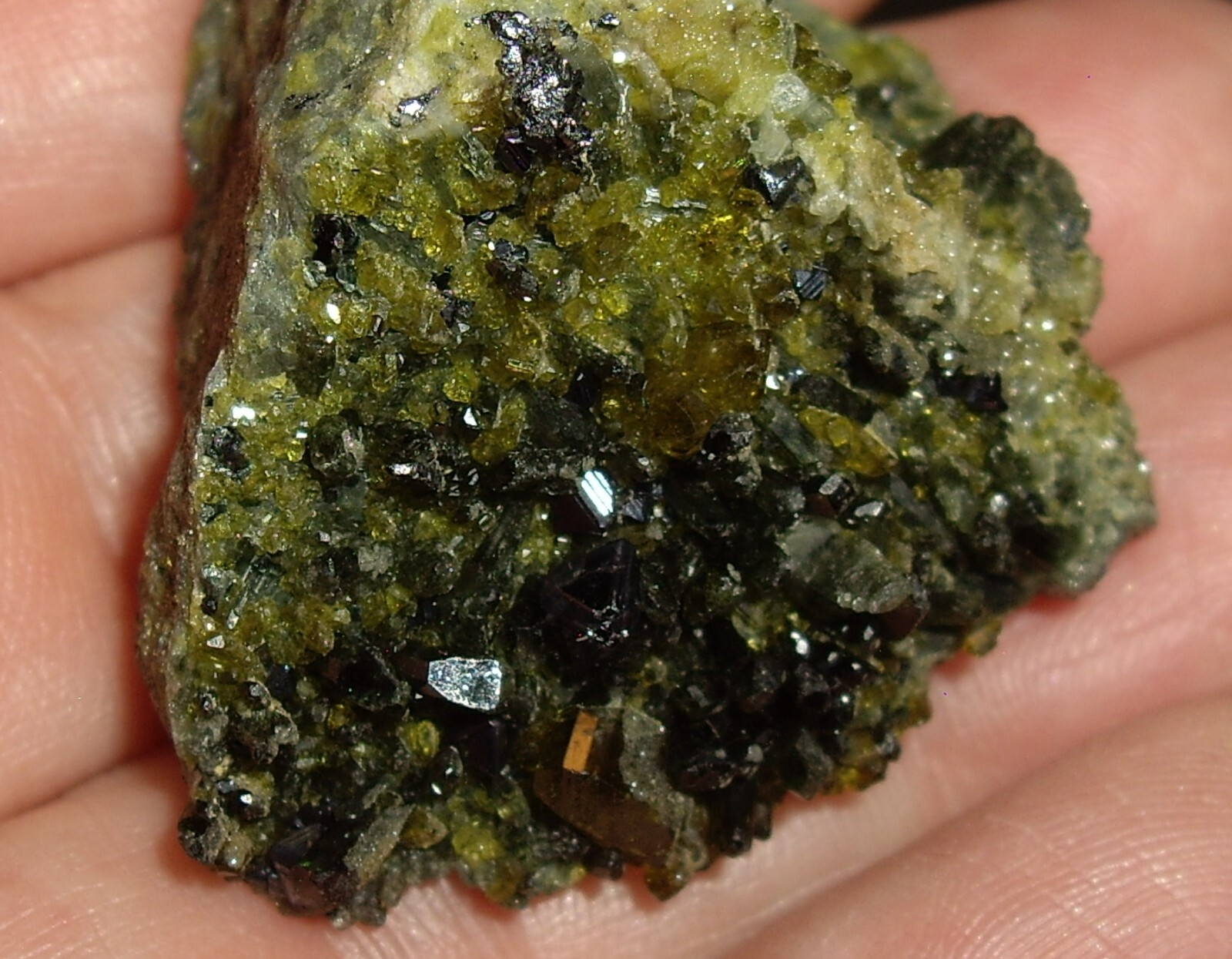 Awesome Magnetite, Vesuvianite, Garnet, and Diopside Crystals on Matrix 23.3g