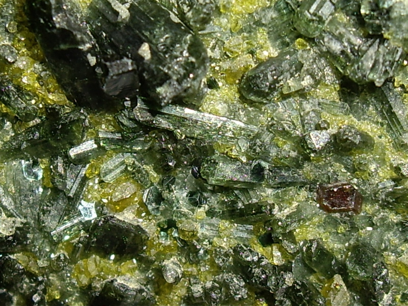 Awesome Magnetite, Vesuvianite, Garnet, and Diopside Crystals on Matrix 23.3g
