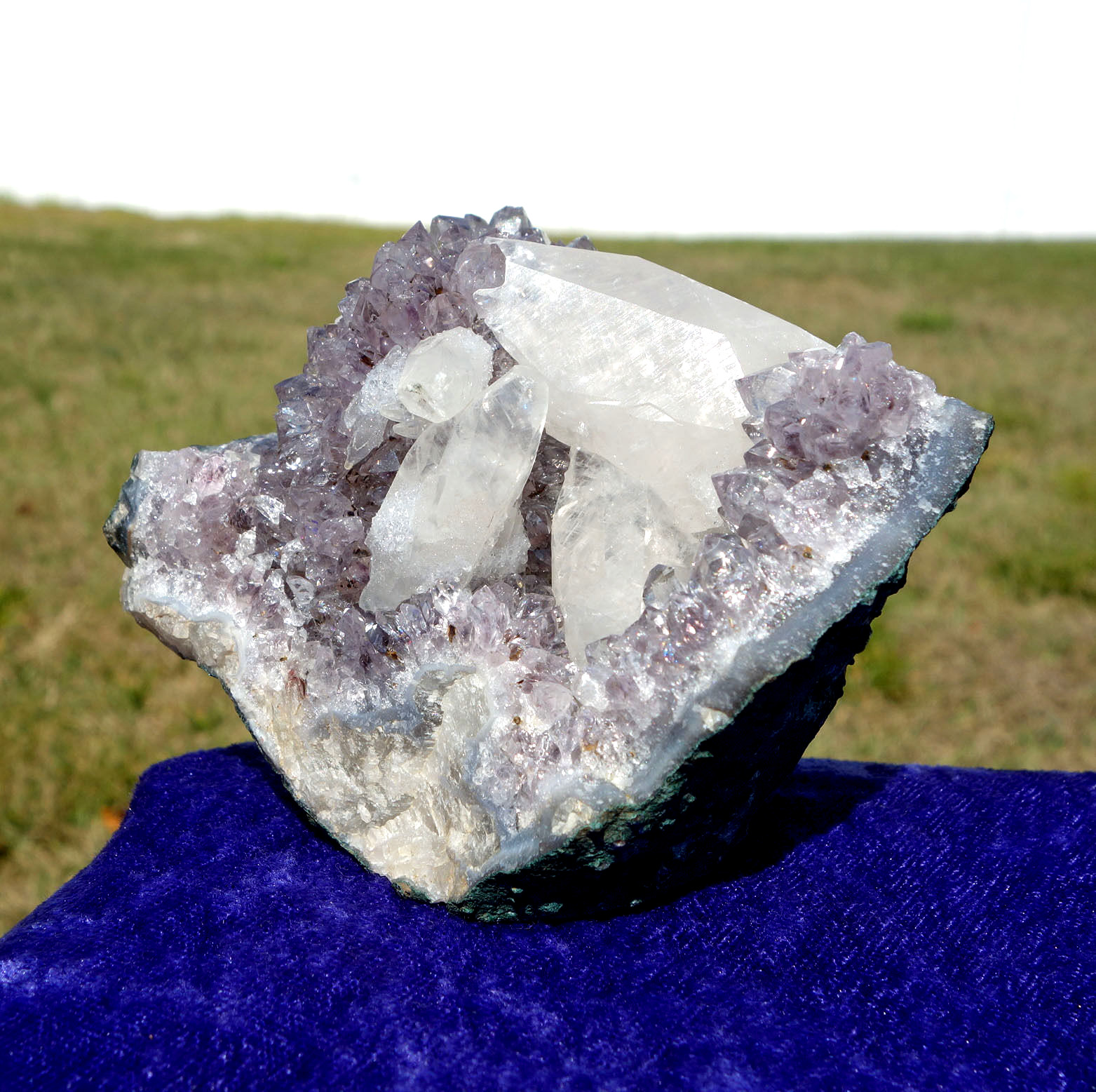 White DOGTOOTH Calcite in AMETHYST Crystal Point Stalactite Quartz Cluster