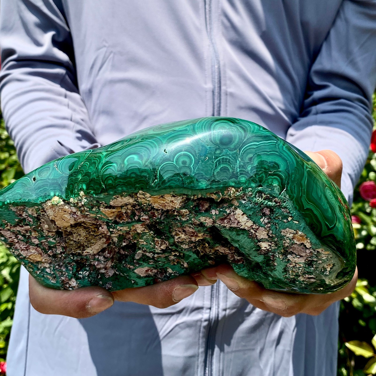 8.5LB Natural glossy Malachite egg transparent cluster rough mineral sample