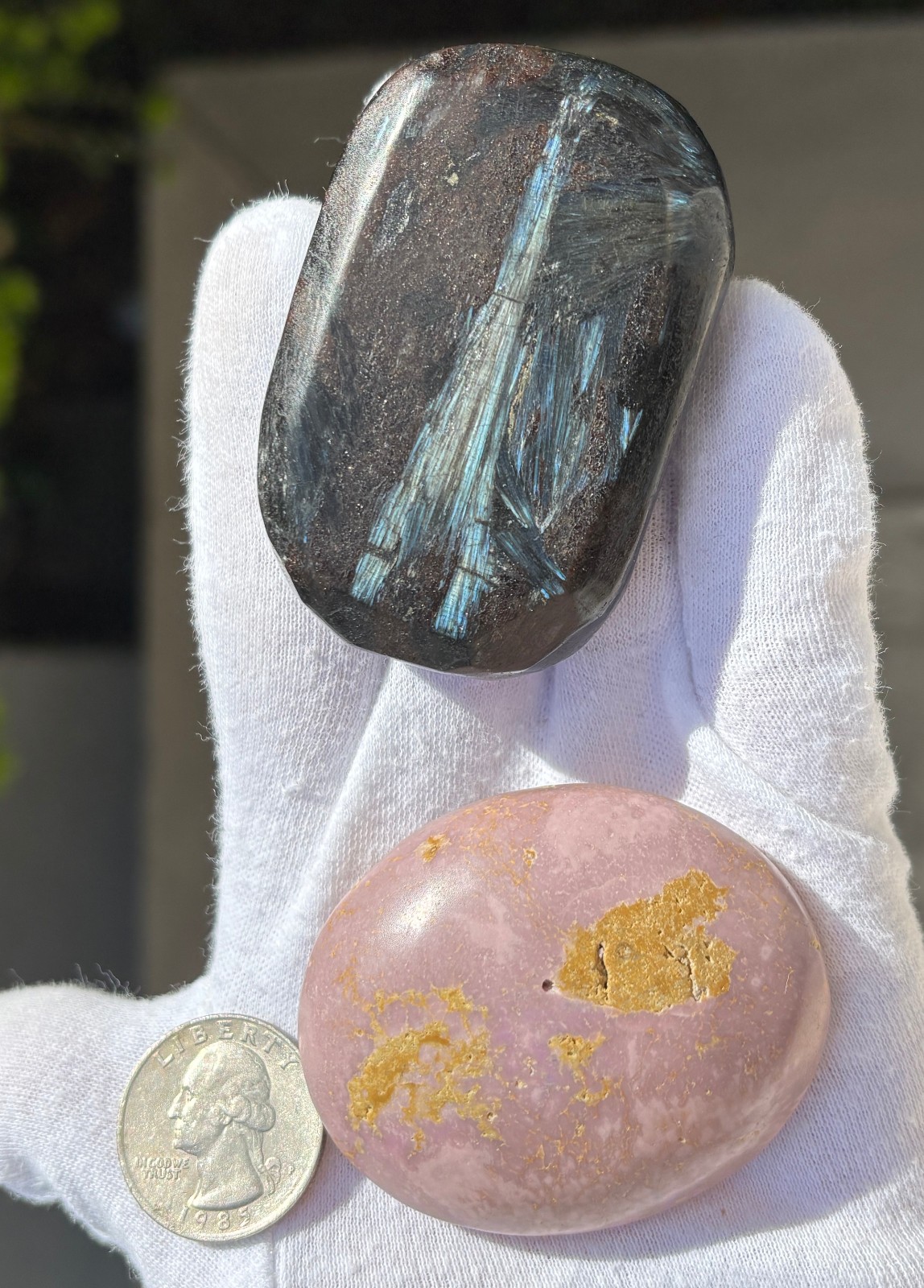 LOT PHOSPHOSIDERITE & ARFVEDSONITE Antho phyllite PALMSTONES PALM STONE FLASH