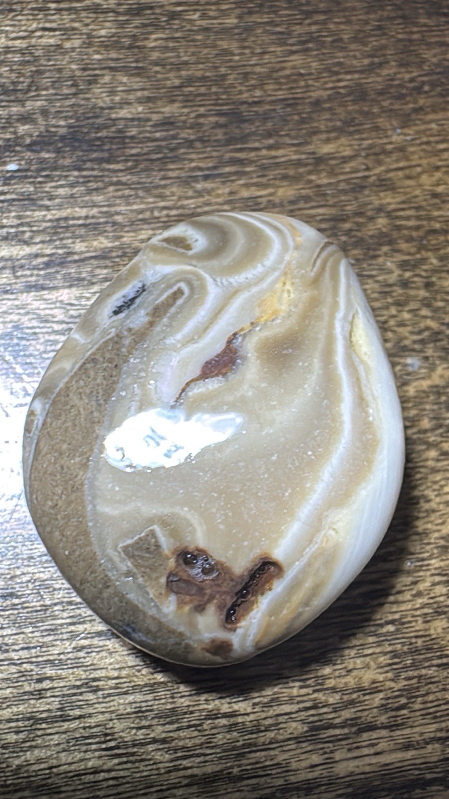 UnPolished Brown and White Agate Stone Specimen – Surf Tumbled Mineral