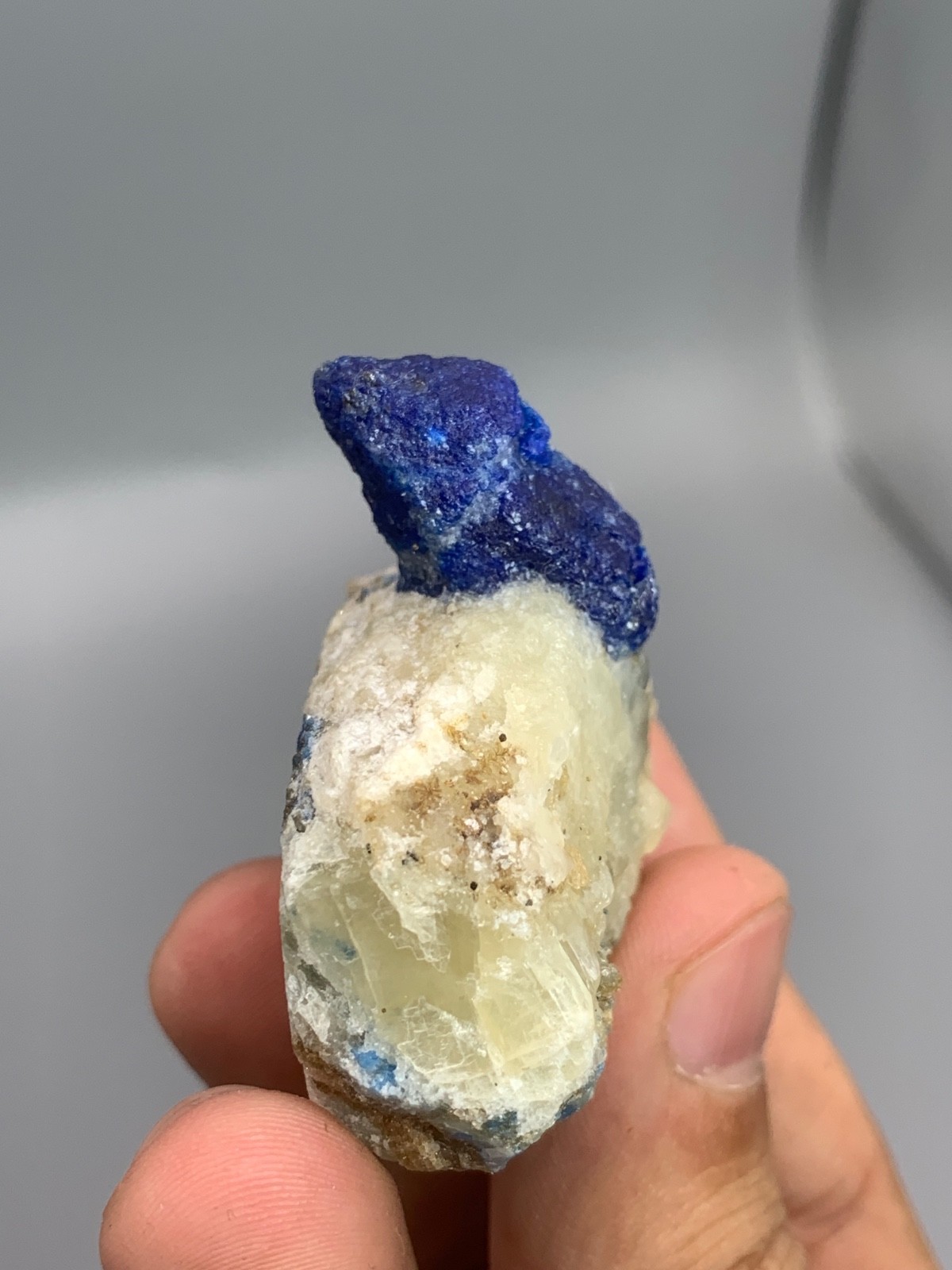 54.7g Afghanite Crystal on Matrix Badakhshan Afghanistan Mineral Specimen
