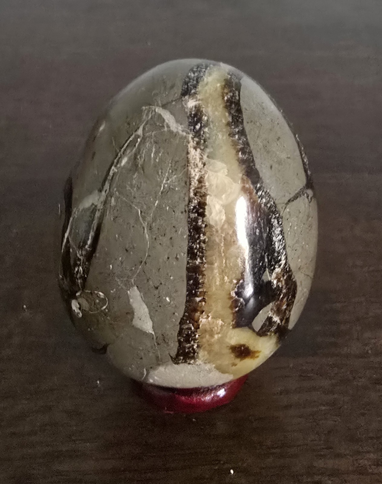 Polished Septarian Nodule Egg Display Specimen, 2.94 Inches, UV Reactive
