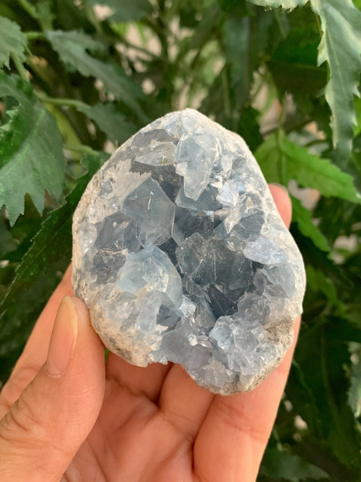 Raw Celestite Cluster, Celestite Geode, Natural Blue Celestite, Pick a Weight