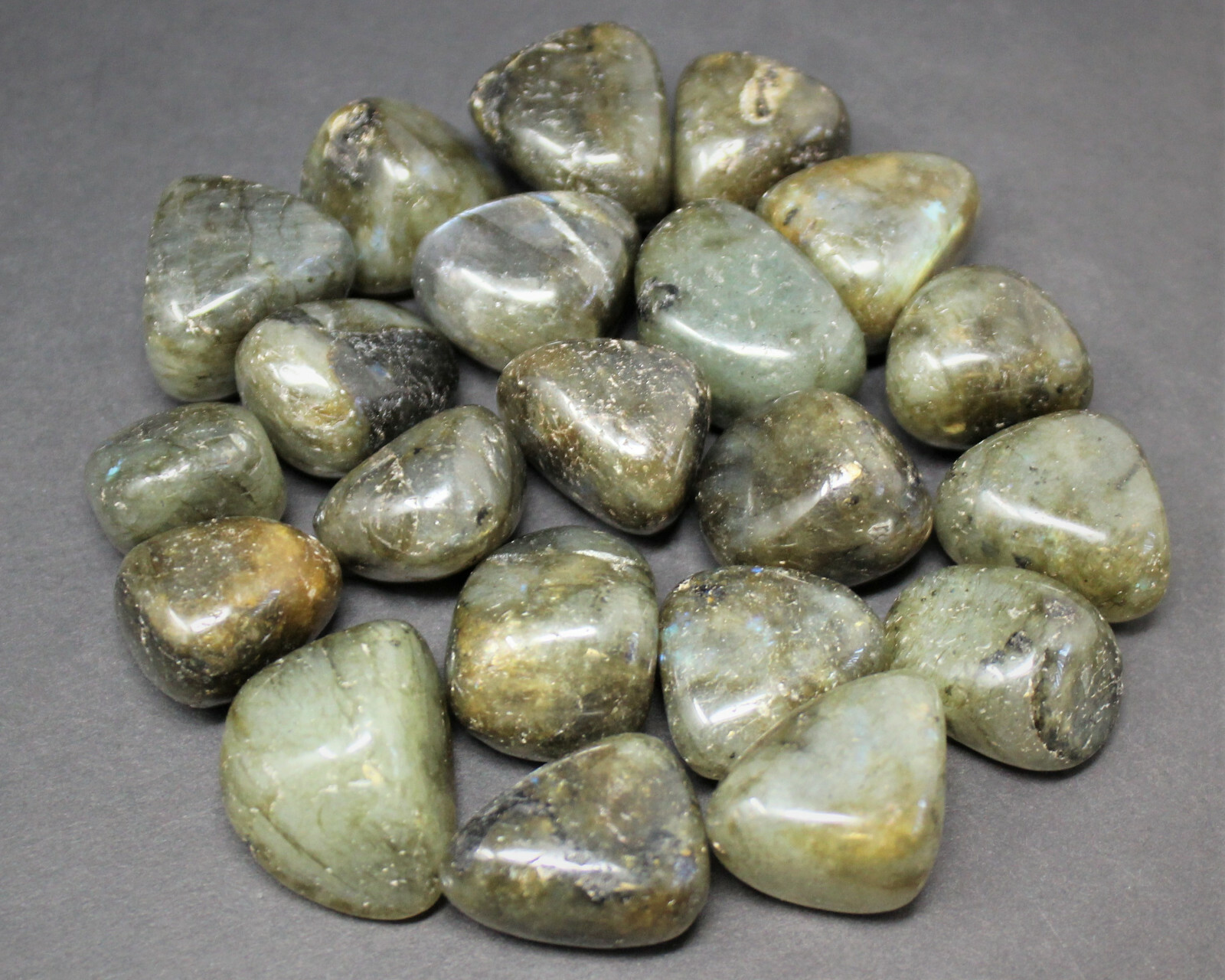1 lb Labradorite Tumbled Stones, Bulk Lot (Crystal Healing Reiki Gemstone)