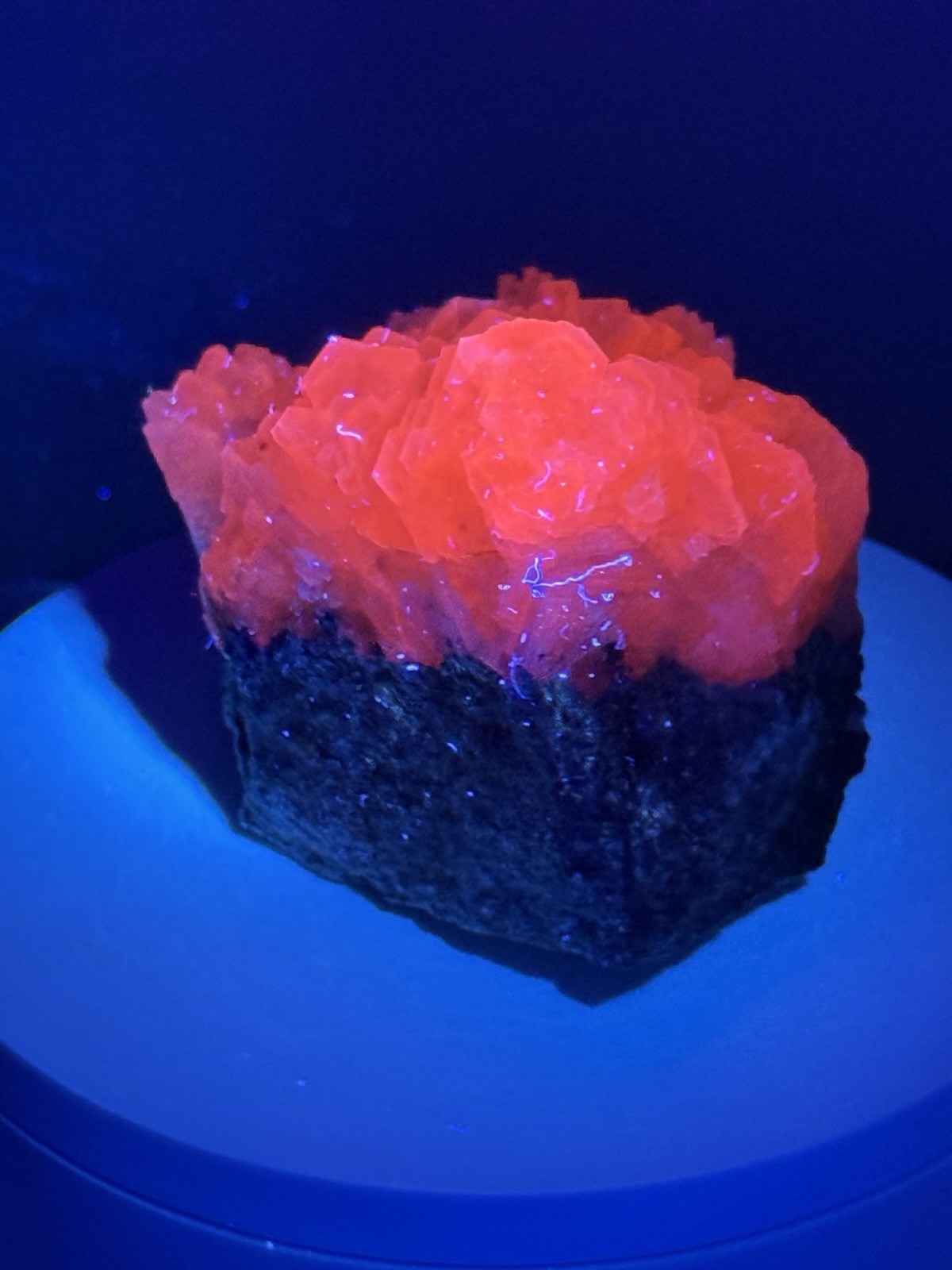 RADIANT Sandwich Calcite Fluorescent Mineral Specimen – China