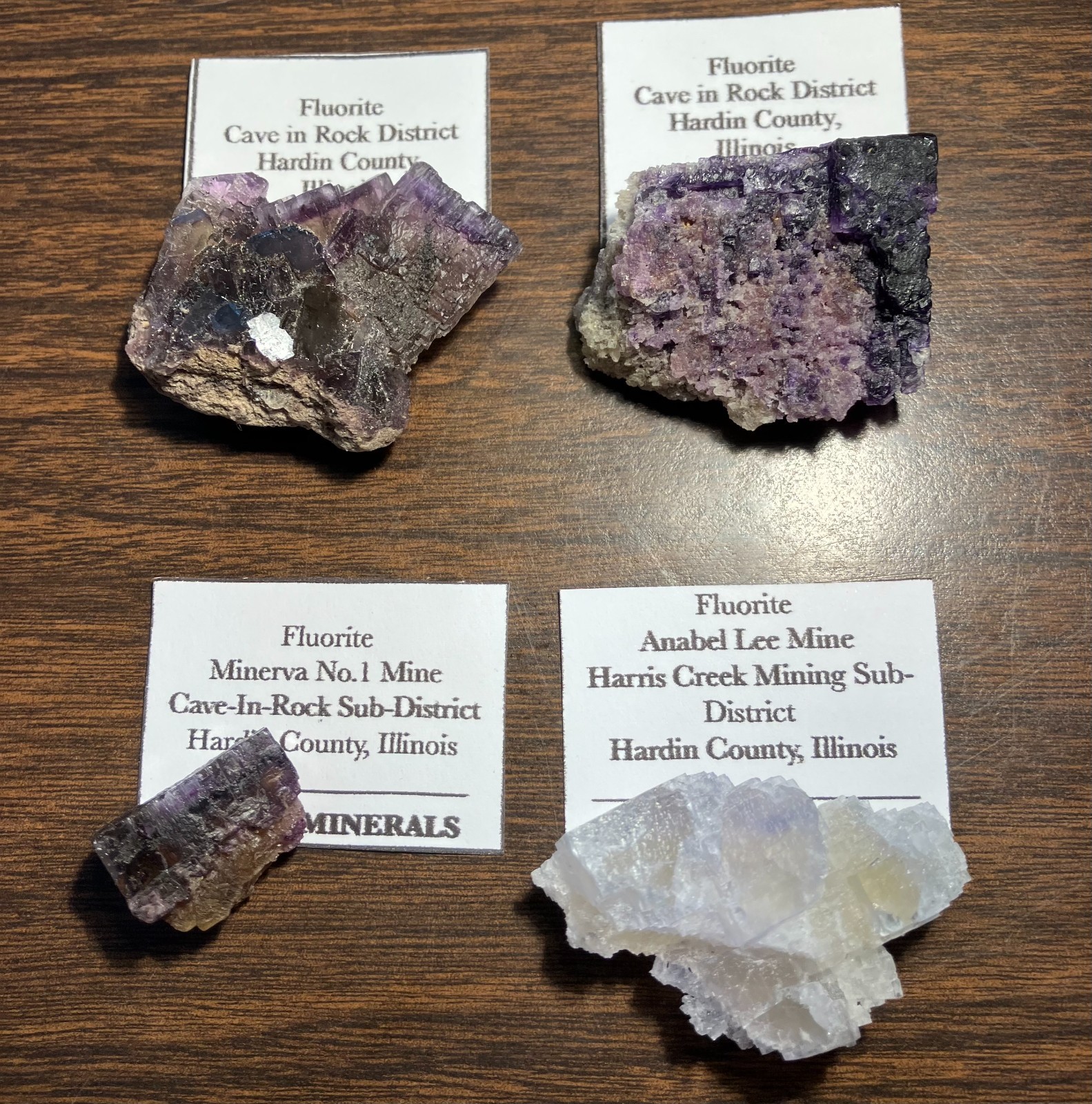 Illinios Fluorite 4 Piece Lot- Cave in Rock, Minerva#1, Annabel Lee