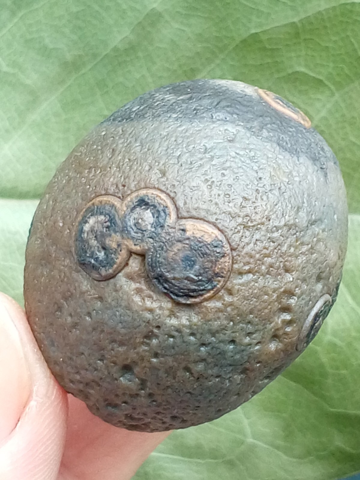36mm Beautiful Natural GoBi agate eye agate stone collection