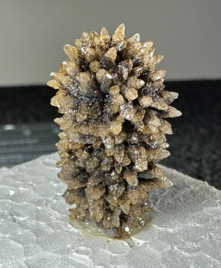 ➤ 1-1/2″ Tall “HEDGEHOG” CALCITE Pleasant Ridge Rensselaer Indiana VIDEO➤412