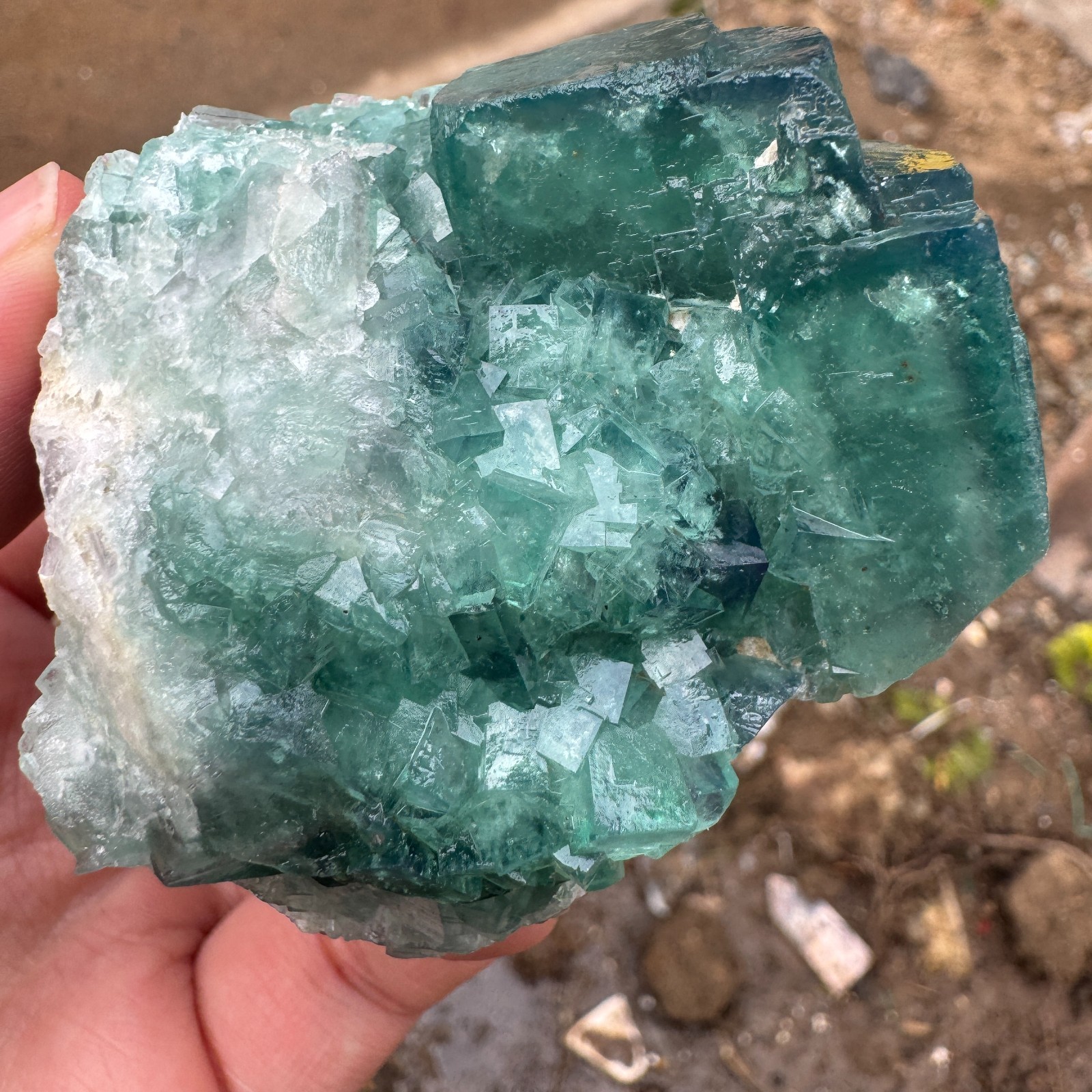 220G Natural cubic green fluorite crystal cluster rough mineral specimen Healing