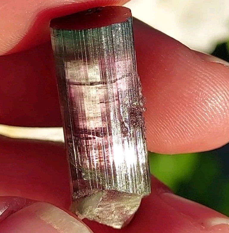 ULTRA RARE BURKHARD’S POCKET TOURMALINE NO REPAIRS PEDERNEIRA MINE BRAZIL