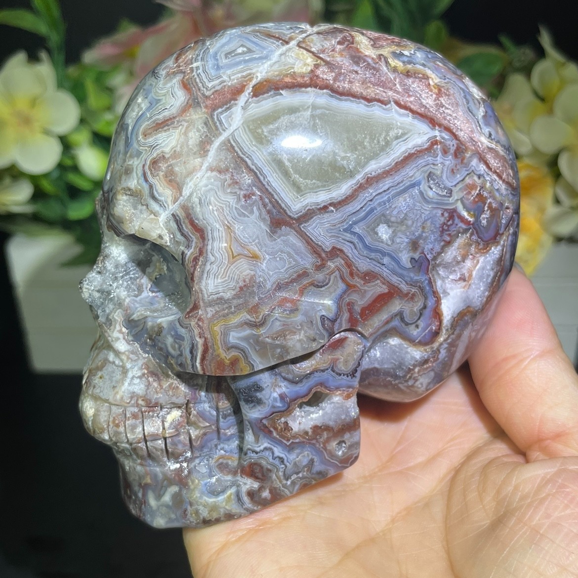 1.7LB 3.9″ Natural Mexican Agate Skull Carved Crystal Reiki Quartz Healing