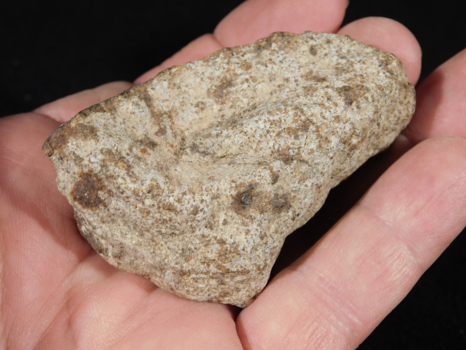 Classified NWA 8245 METEORITE 100% Natural Erfoud, Morocco 147gr