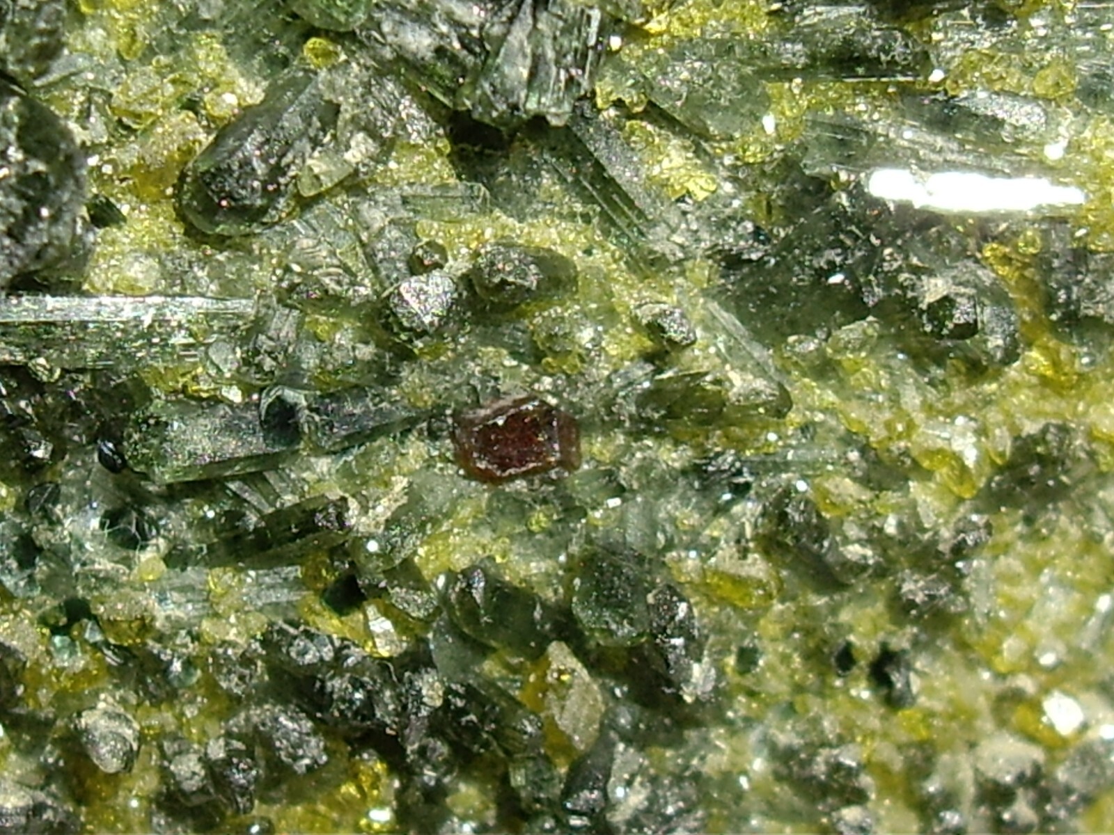 Awesome Magnetite, Vesuvianite, Garnet, and Diopside Crystals on Matrix 23.3g