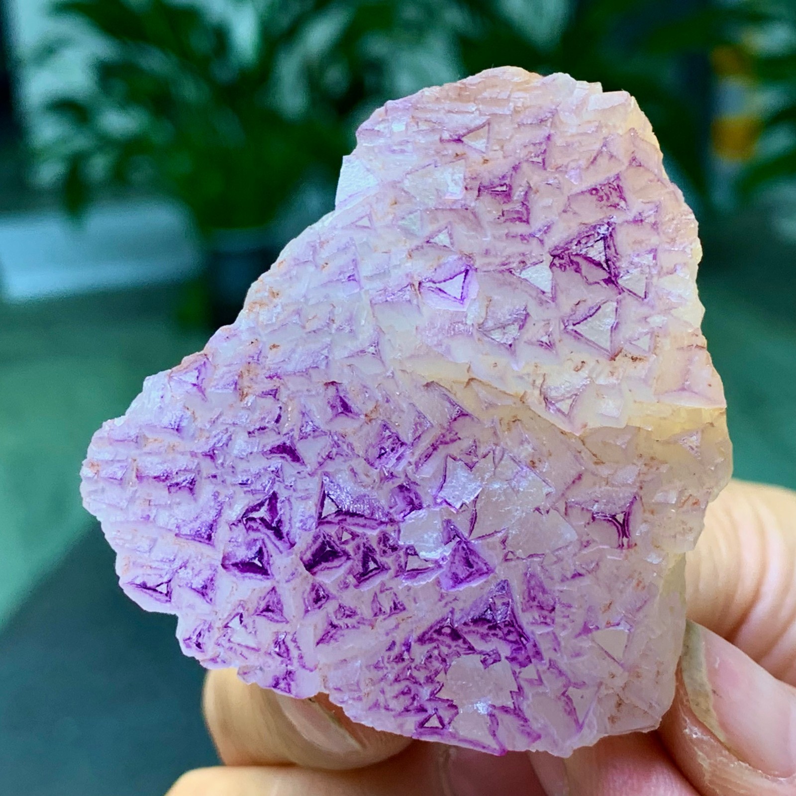 100G Natural fluorite purple edged cubic crystal mineral sample
