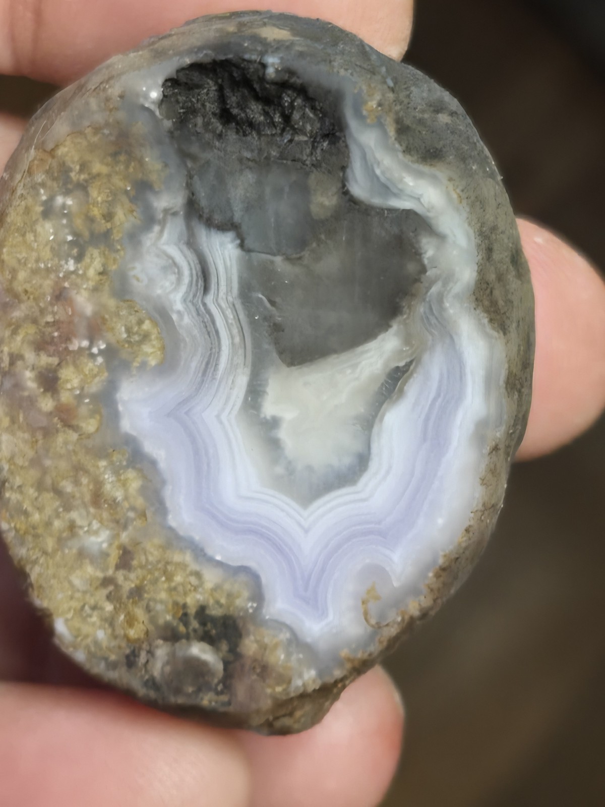 Mulligan Peak Agate 2.7. Vibrant Purple Banding Cut Not Polished