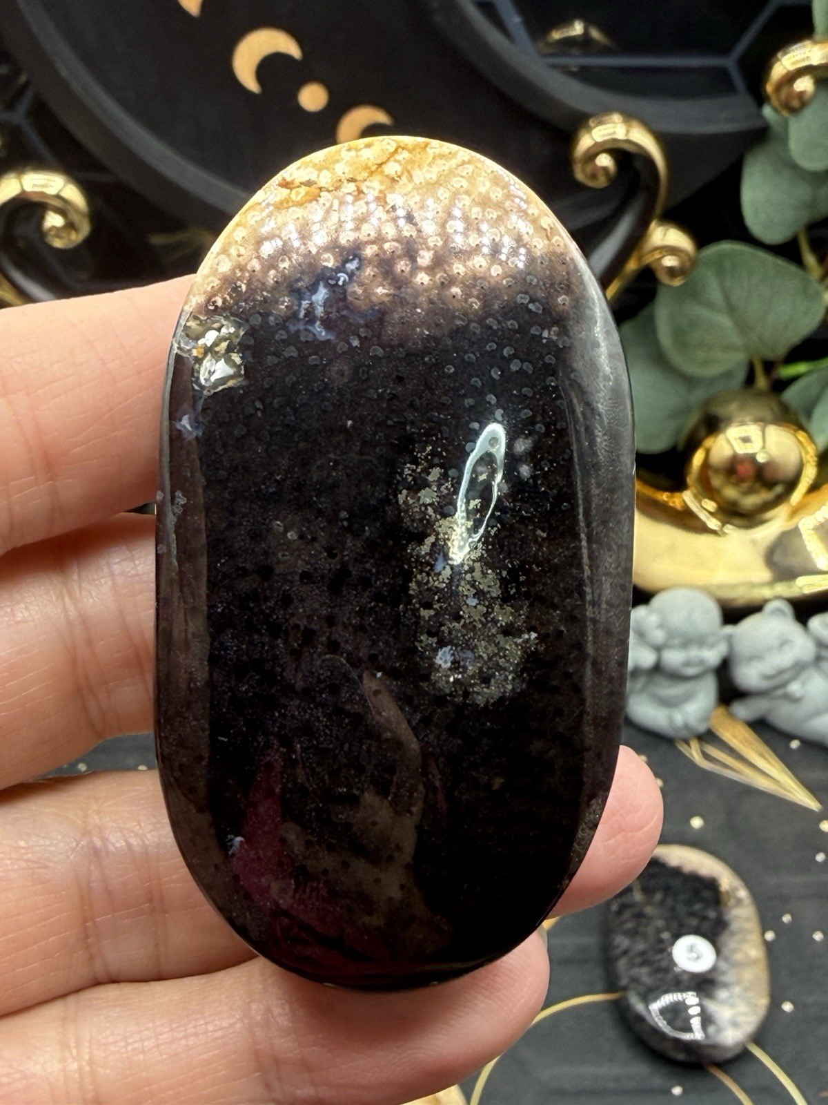 Natural Indonesian Palm Root Palmstones Fossilised Wood Free shipping