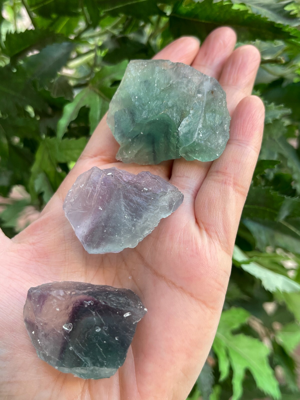 Grade A+ Fluorite Raw Natural Stone, 1.5 – 2 inches Fluorite Rough,Wholesale Lot