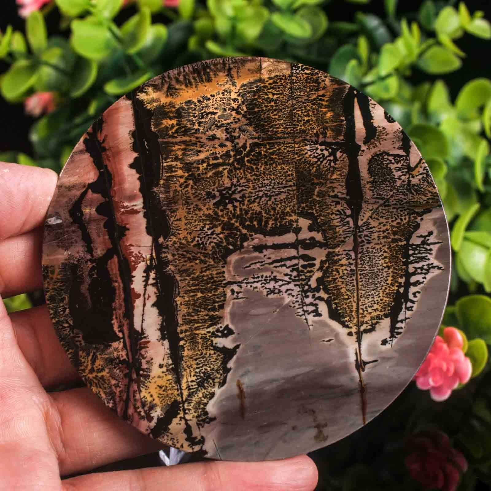 Picture Jasper Slab Natural Stone Display Crystal Specimen w/Stand 3.7″ 4.4oz