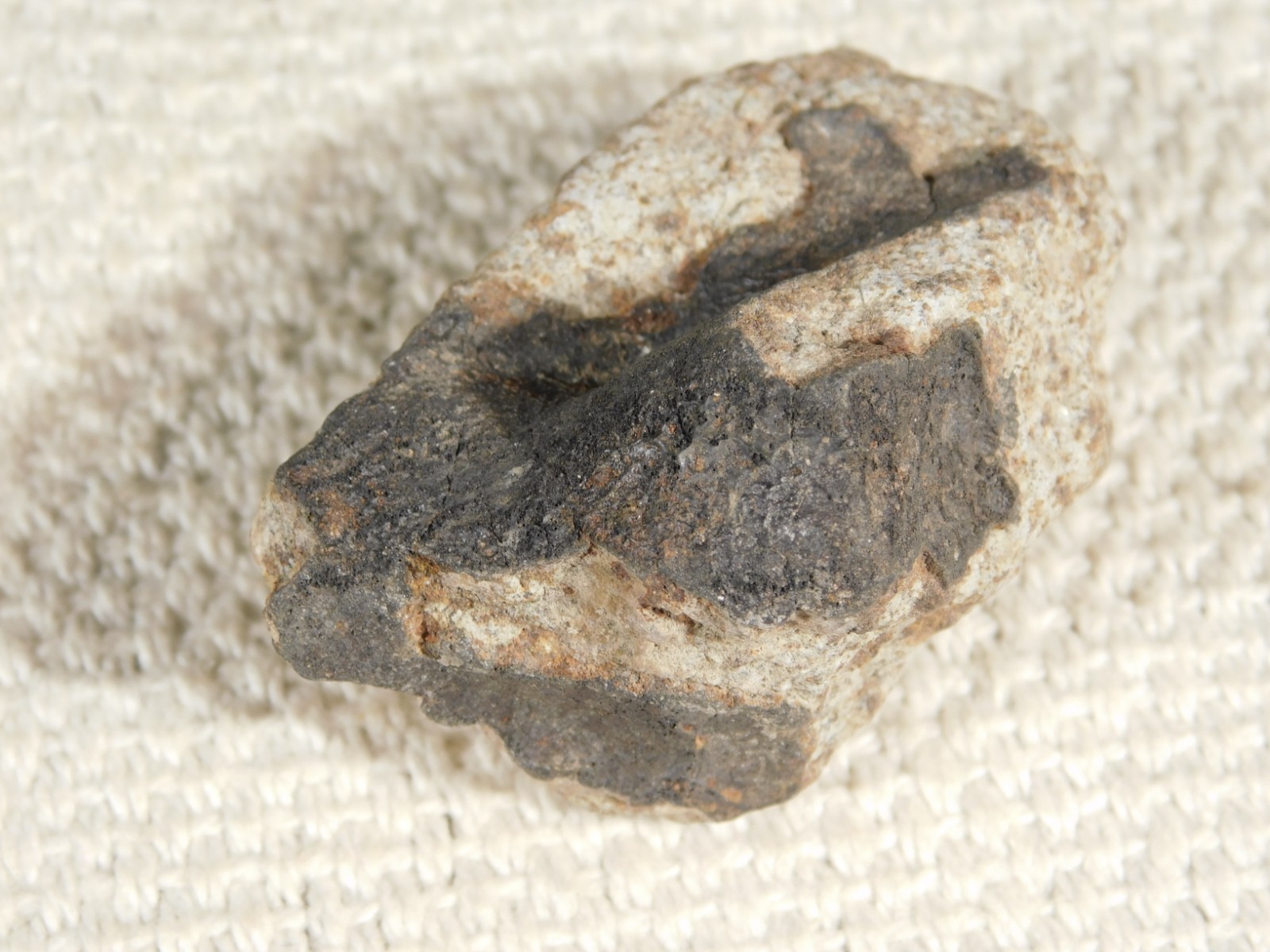 Classified NWA 8245 METEORITE 100% Natural FELL on Erfoud, Morocco 68.1gr
