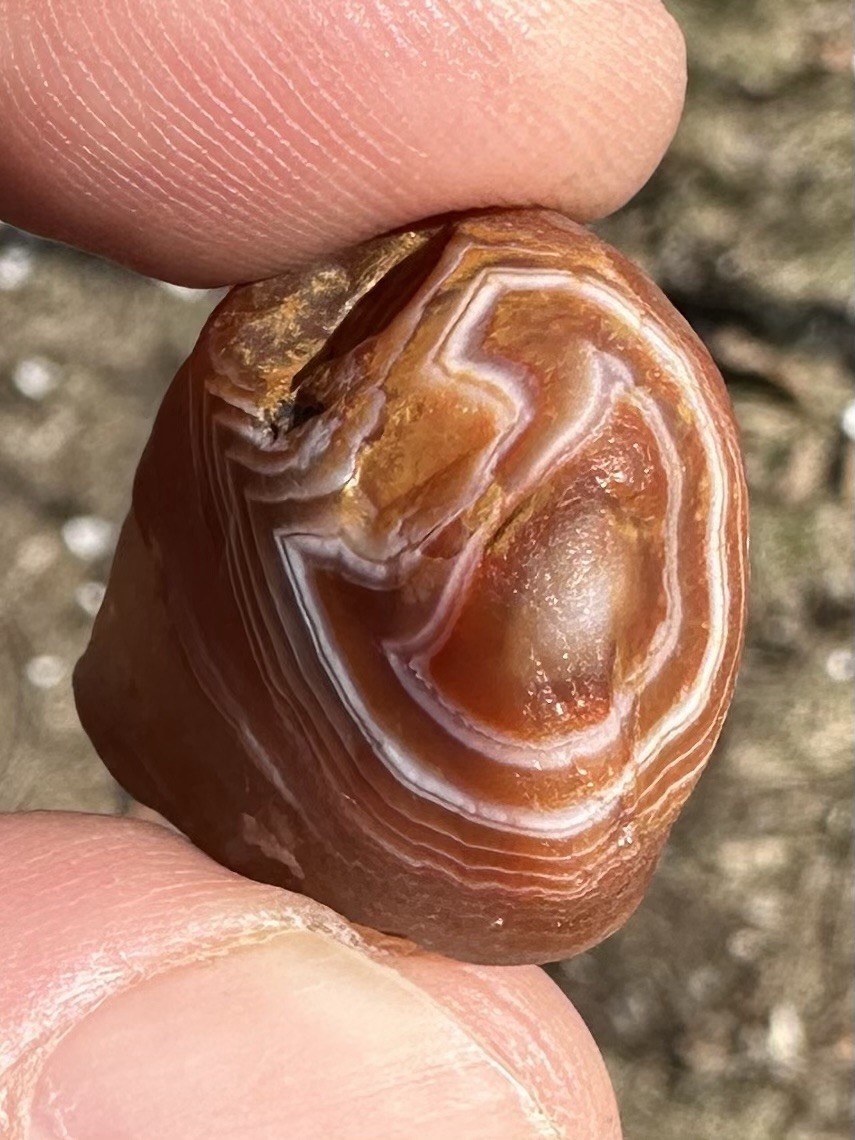 2.0oz Lake Superior Agate Bundle Of Natural Beauties!