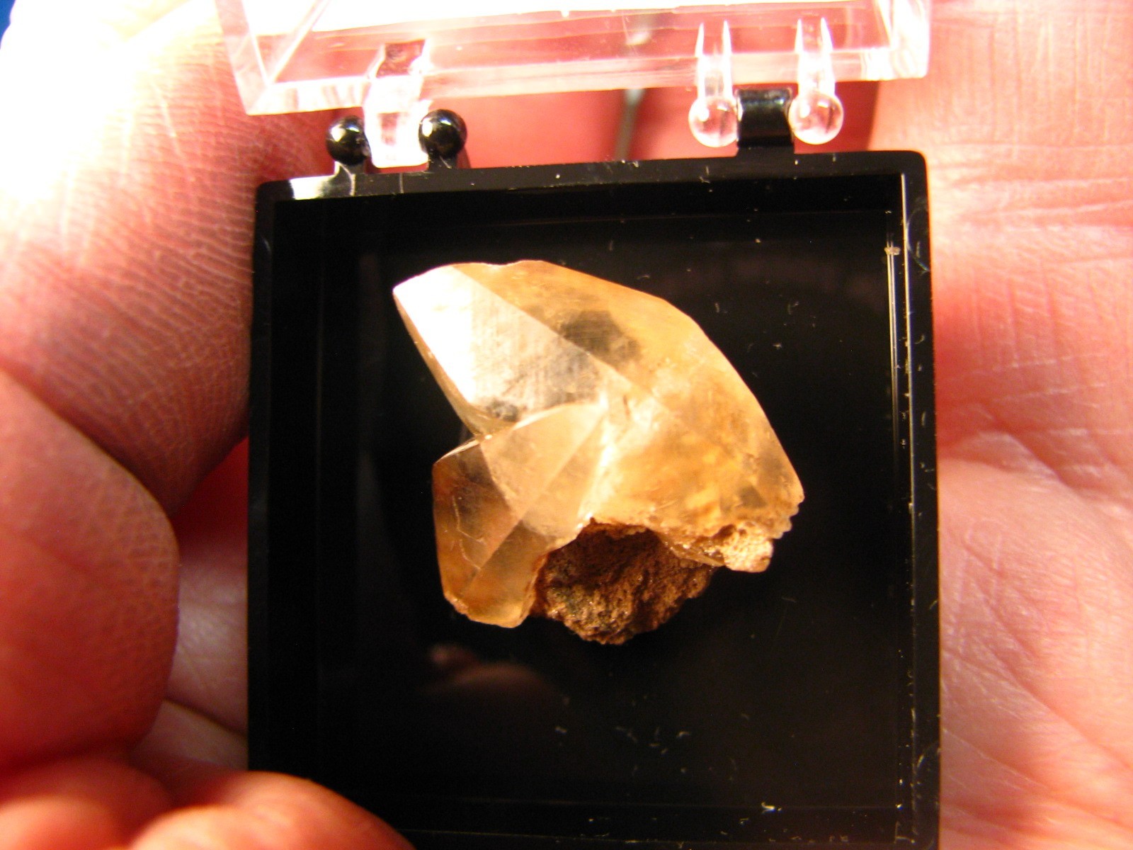 GOLDEN DOGTOOTH CALCITE CRYSTALS THUMBNAIL IN CASE MARBLEHEAD QUARRY OHIO #037