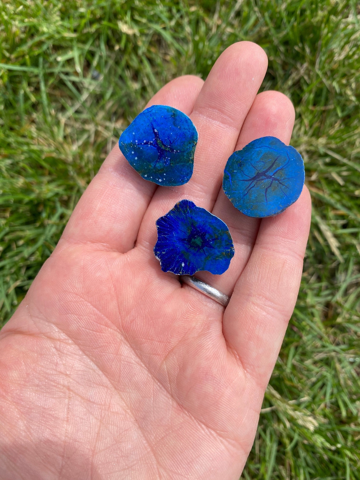 Azurite & Malachite Blueberry (Half Polished) from Poteryaevskoe Mine, Siberia