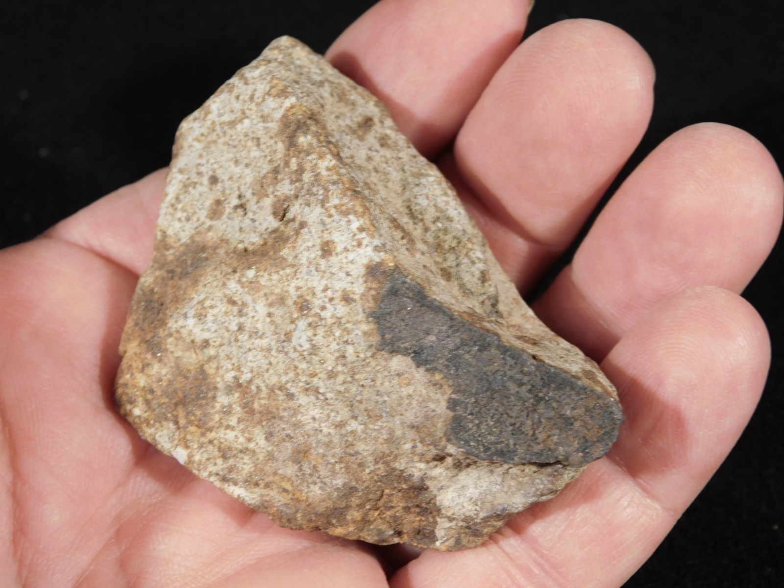Classified NWA 8245 METEORITE 100% Natural Erfoud, Morocco 147gr