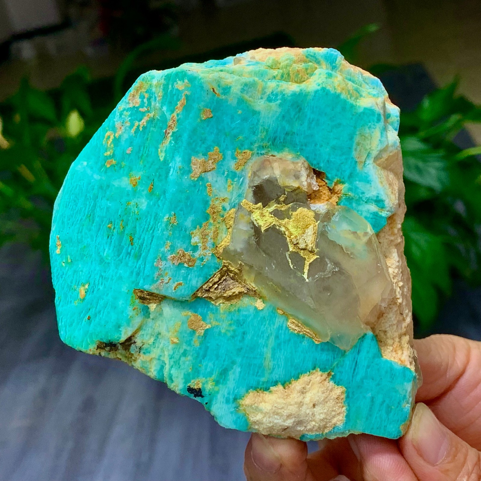 1.58LB Rare!! Natural beautiful Amazonite with Quartz Crystal Specimen Rough
