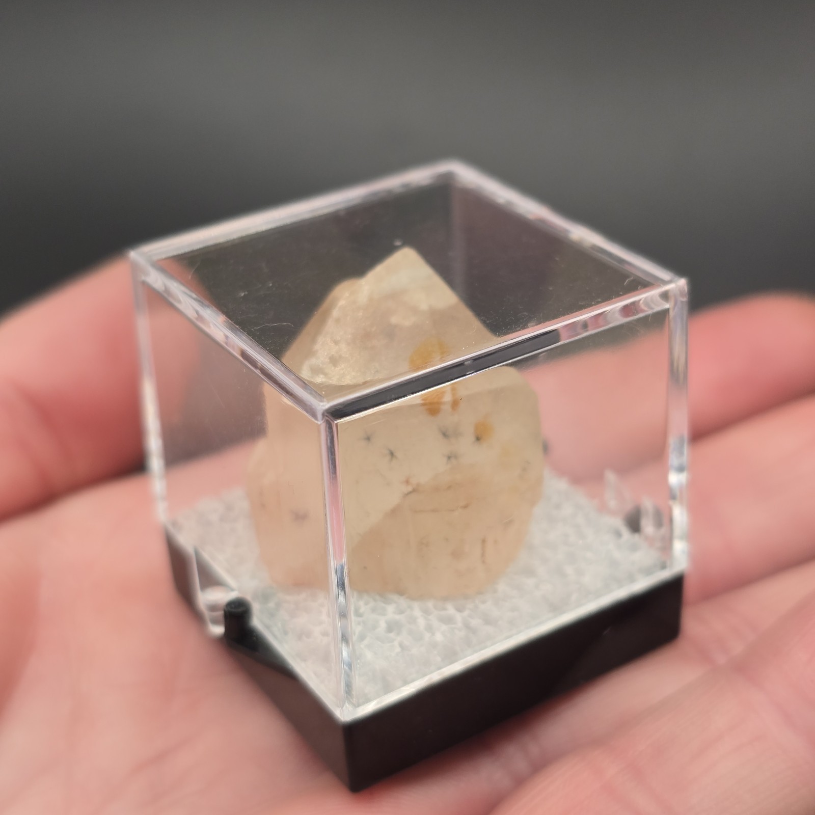Hollandite Spider Quartz Point Crystal Madagascar Gemstone Specimen in Perky Box