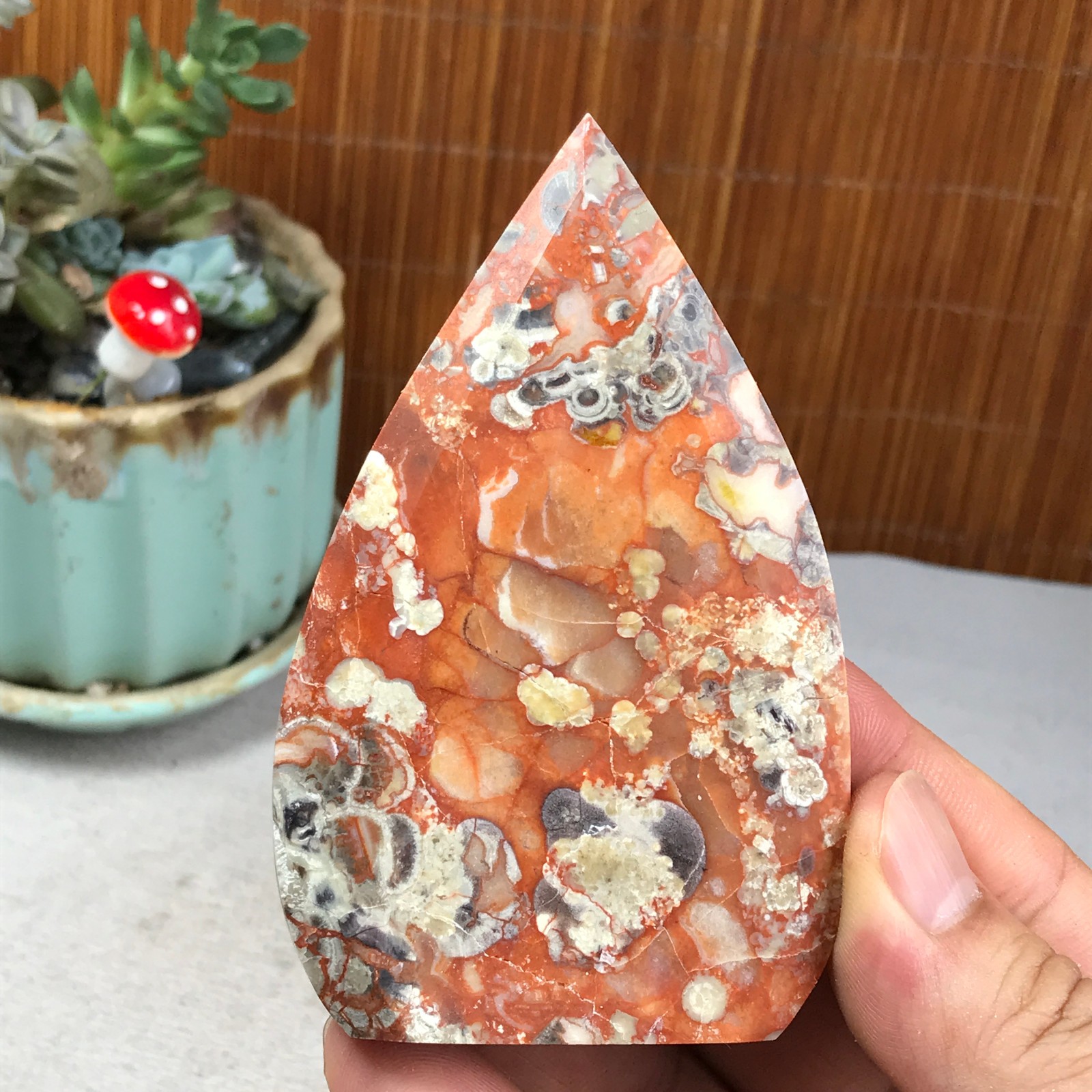 Natural money Mexico agate hand carve leaf Crystal Specimen free standing A6256