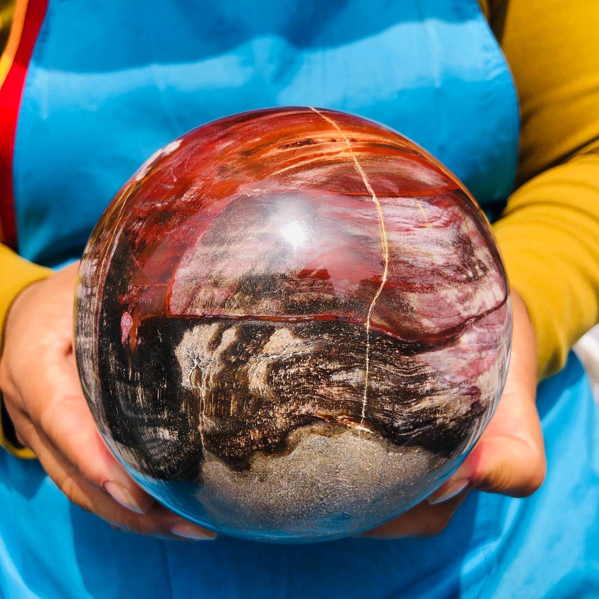 5.06LB Rare Natural Petrified Wood Ball Crystal Quartz Mineral Healing 4705