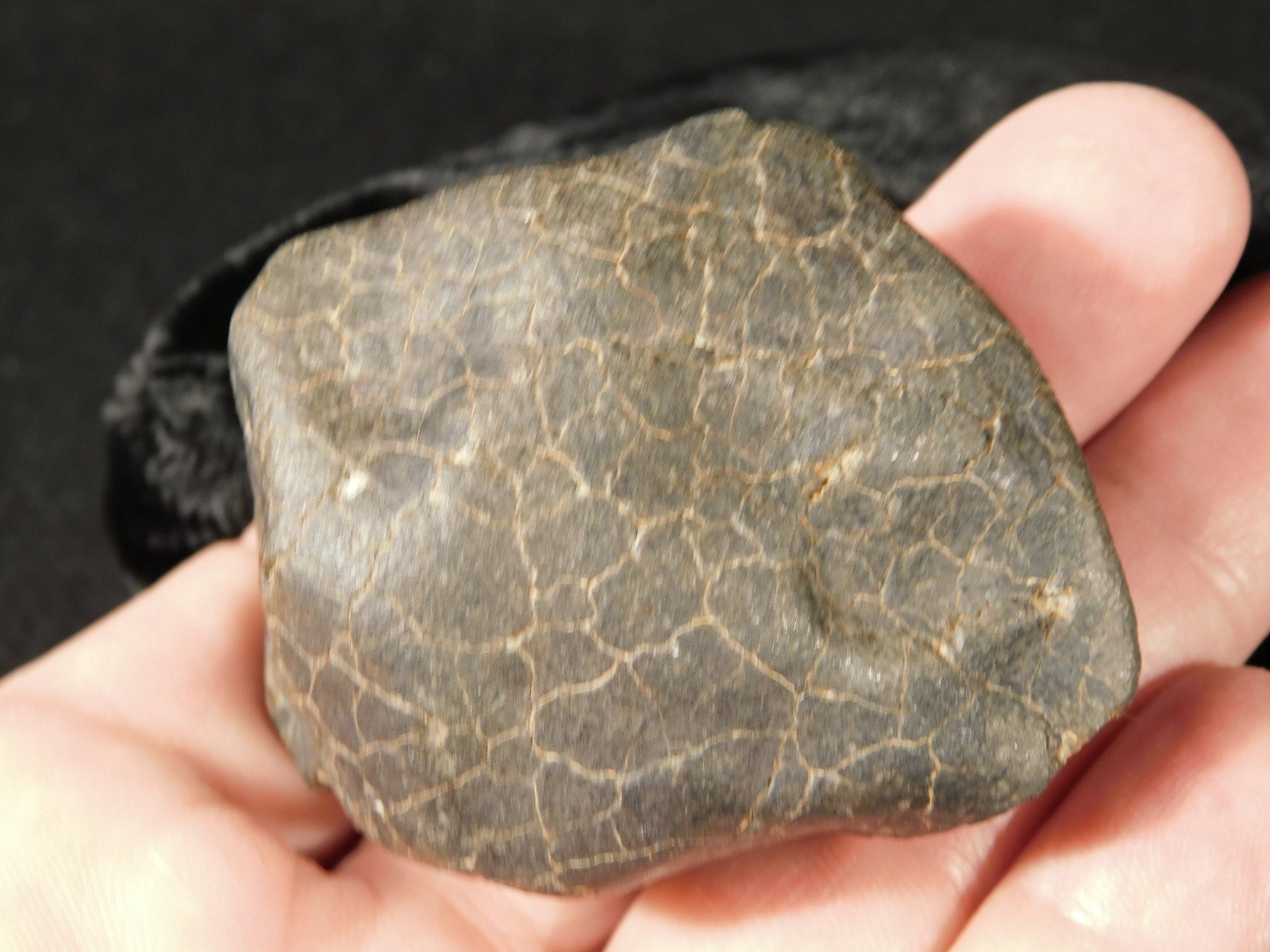 H6 Stony METEORITE Regmaglypts DARK Fusion Crust and Contraction CRACKS! 155gr